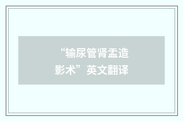 “输尿管肾盂造影术”英文翻译