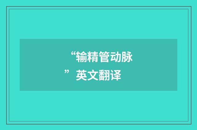 “输精管动脉”英文翻译