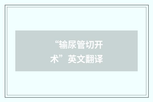 “输尿管切开术”英文翻译