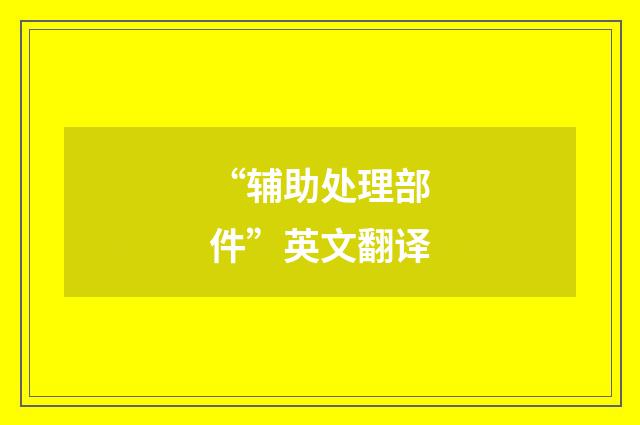 “辅助处理部件”英文翻译