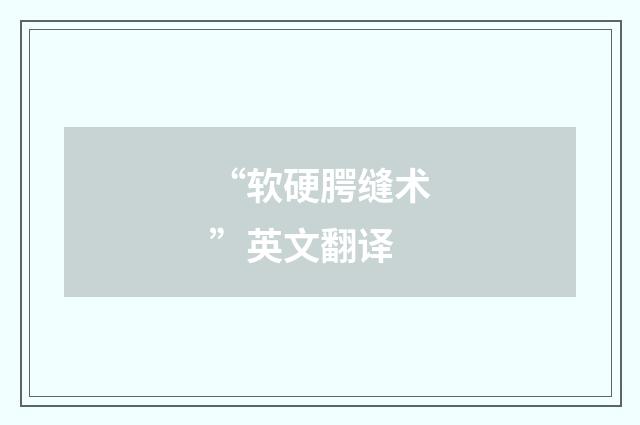 “软硬腭缝术”英文翻译