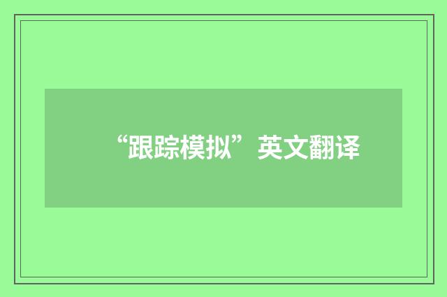 “跟踪模拟”英文翻译