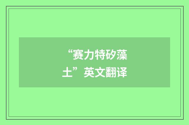 “赛力特矽藻土”英文翻译