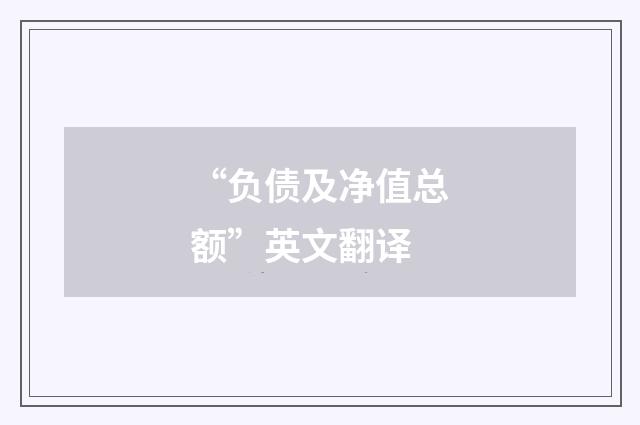 “负债及净值总额”英文翻译