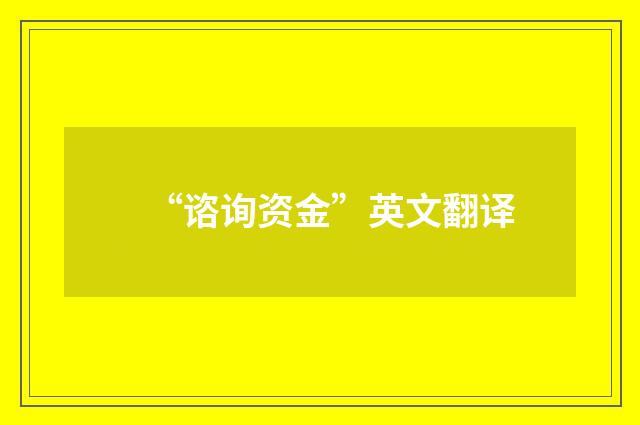 “谘询资金”英文翻译
