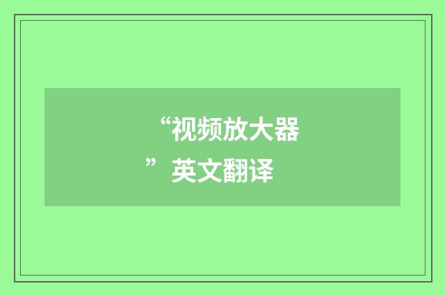 “视频放大器”英文翻译