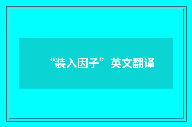 “装入因子”英文翻译