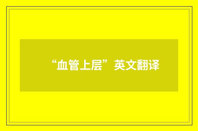 “血管上层”英文翻译