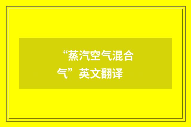 “蒸汽空气混合气”英文翻译