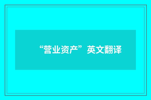 “营业资产”英文翻译