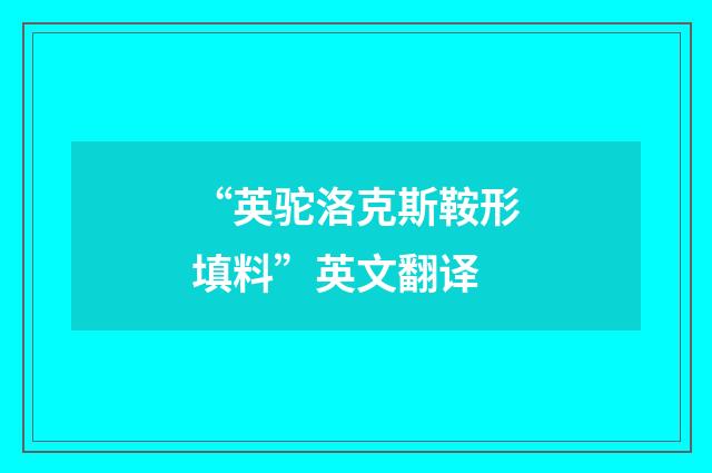 “英驼洛克斯鞍形填料”英文翻译