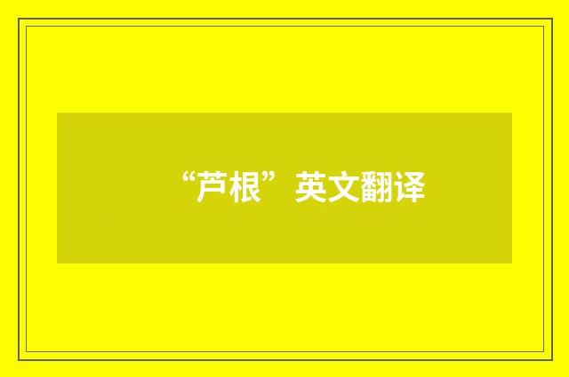 “芦根”英文翻译