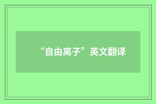 “自由离子”英文翻译