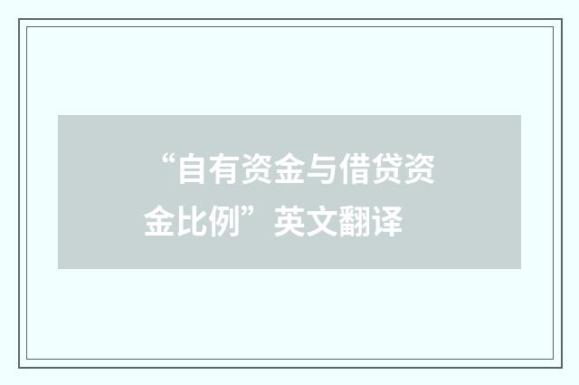 “自有资金与借贷资金比例”英文翻译
