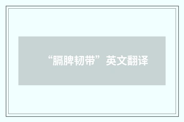 “膈脾韧带”英文翻译