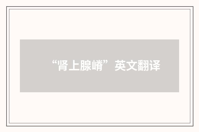 “肾上腺嵴”英文翻译