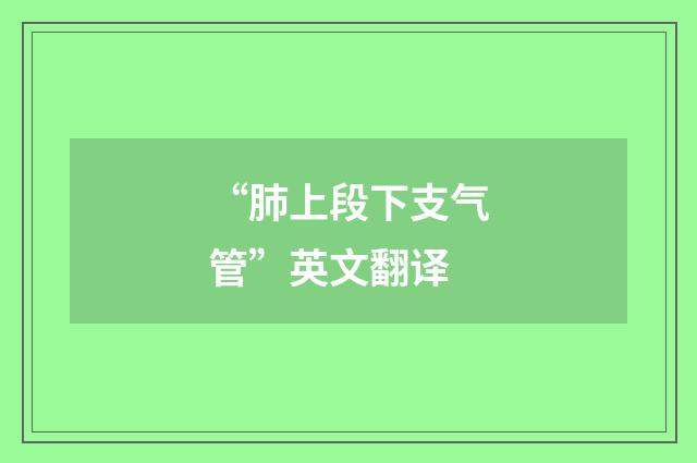 “肺上段下支气管”英文翻译