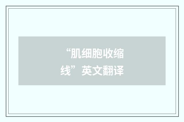 “肌细胞收缩线”英文翻译