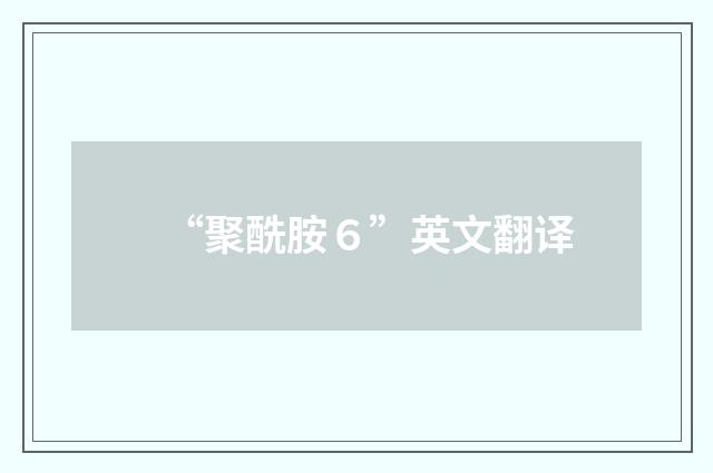 “聚酰胺６”英文翻译