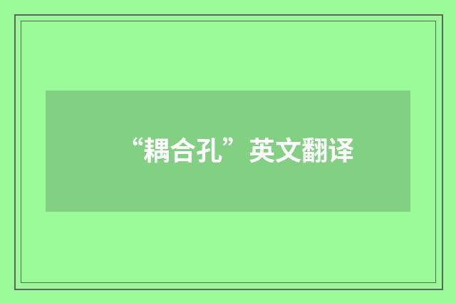 “耦合孔”英文翻译