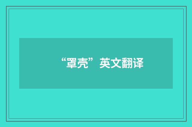 “罩壳”英文翻译