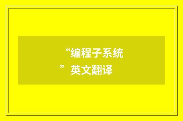 “编程子系统”英文翻译