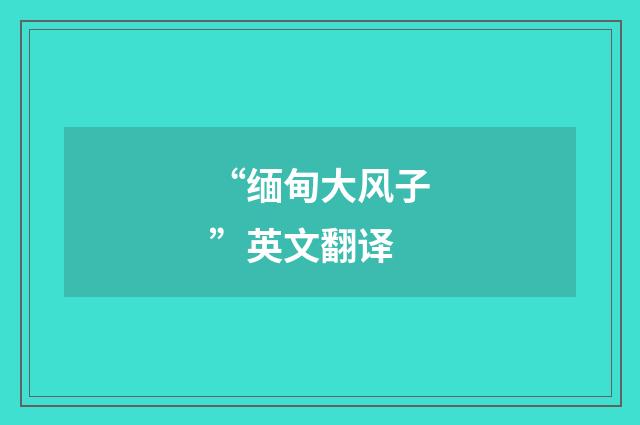 “缅甸大风子”英文翻译