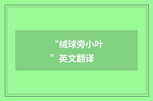 “绒球旁小叶”英文翻译