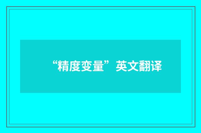 “精度变量”英文翻译