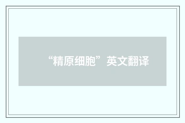 “精原细胞”英文翻译