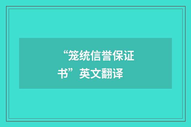 “笼统信誉保证书”英文翻译