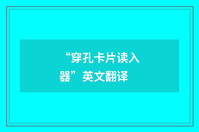“穿孔卡片读入器”英文翻译