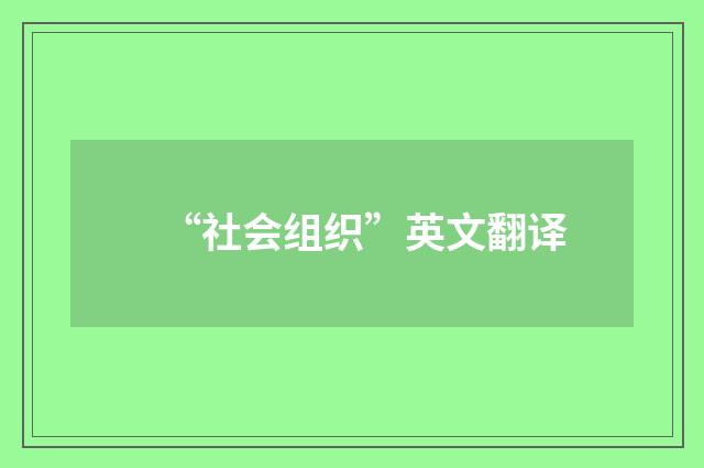 “社会组织”英文翻译
