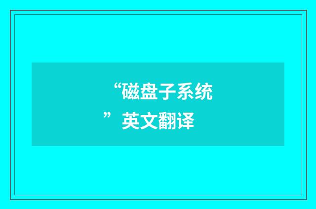 “磁盘子系统”英文翻译