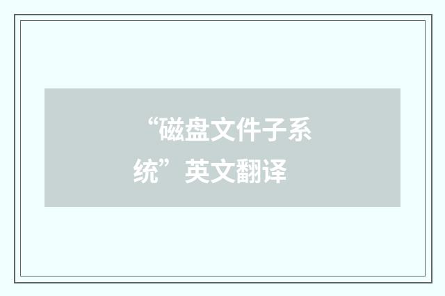 “磁盘文件子系统”英文翻译