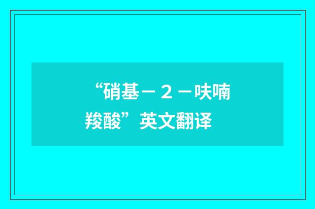 “硝基－２－呋喃羧酸”英文翻译