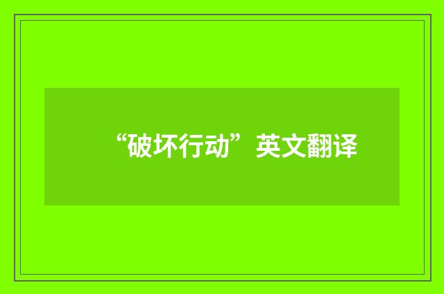 “破坏行动”英文翻译