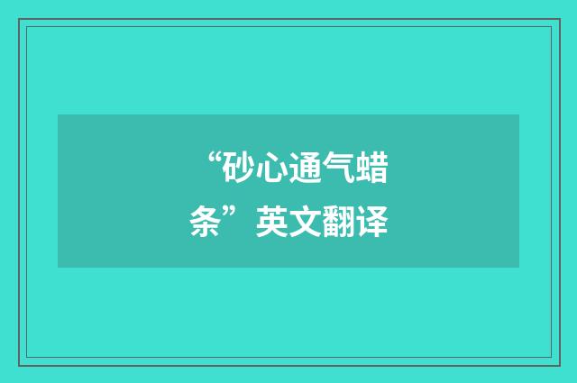 “砂心通气蜡条”英文翻译
