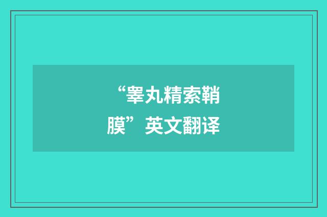 “睾丸精索鞘膜”英文翻译