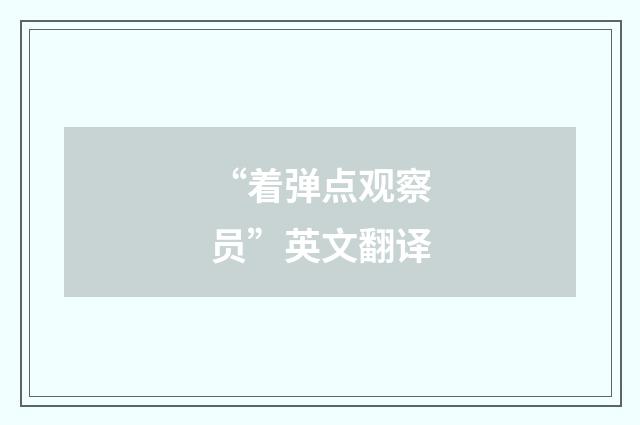 “着弹点观察员”英文翻译