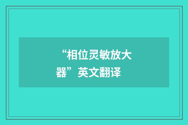 “相位灵敏放大器”英文翻译