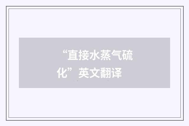 “直接水蒸气硫化”英文翻译