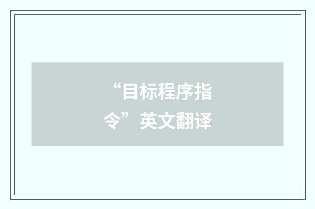 “目标程序指令”英文翻译
