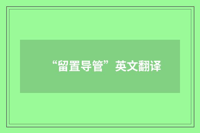 “留置导管”英文翻译