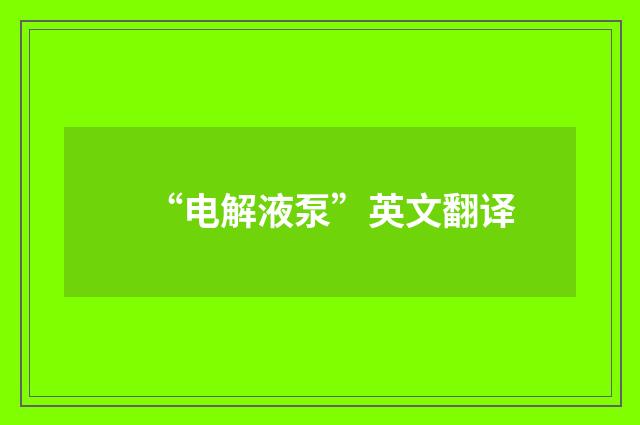 “电解液泵”英文翻译