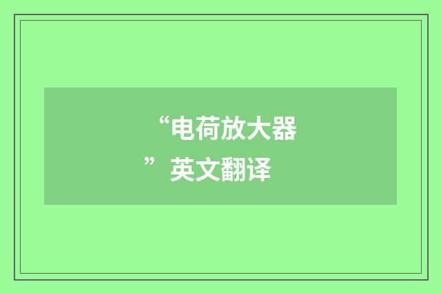 “电荷放大器”英文翻译