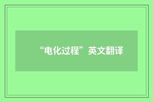 “电化过程”英文翻译