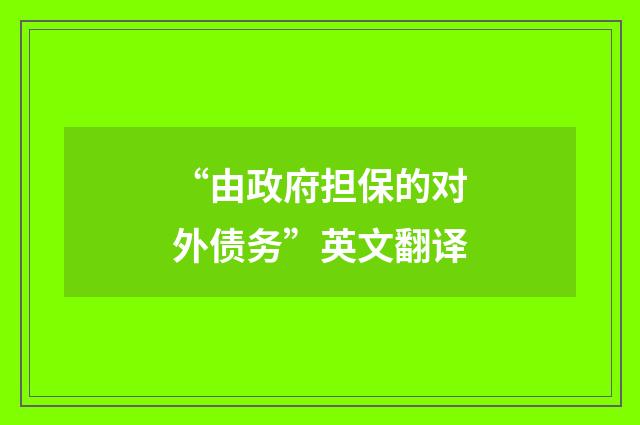 “由政府担保的对外债务”英文翻译