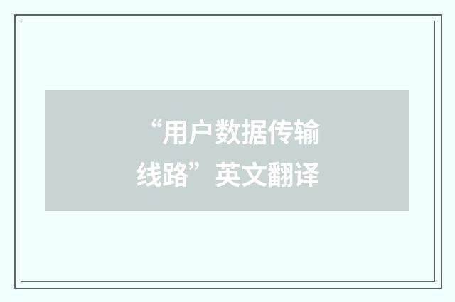“用户数据传输线路”英文翻译