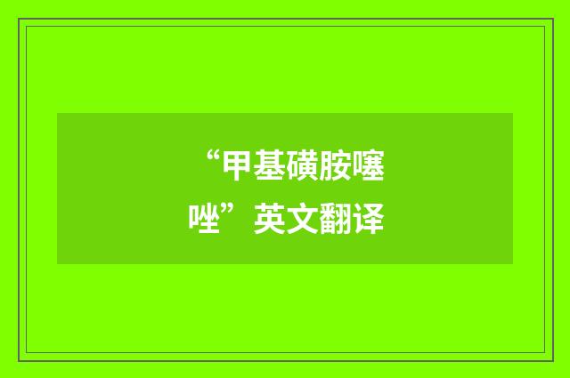 “甲基磺胺噻唑”英文翻译